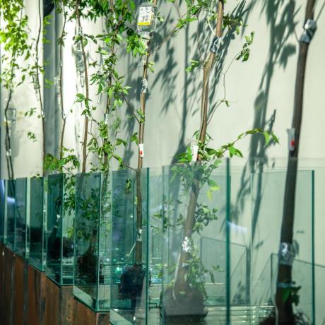 Biennale Sztuki i Technologii Przyszłości / e-POLIS miasto przyszłości