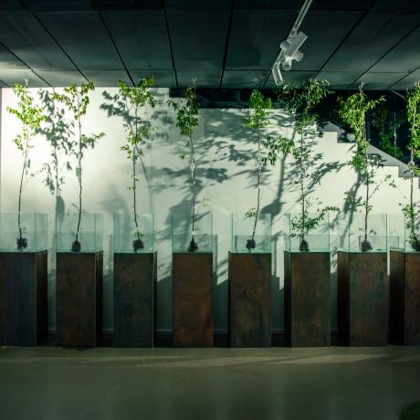 Biennale Sztuki i Technologii Przyszłości / e-POLIS miasto przyszłości