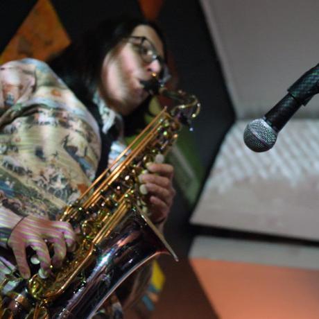 DARK ENERGY VOICE, Galeria I