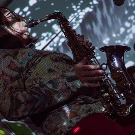 DARK ENERGY VOICE, Galeria I