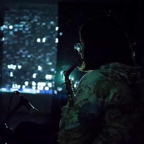 DARK ENERGY VOICE, Galeria I