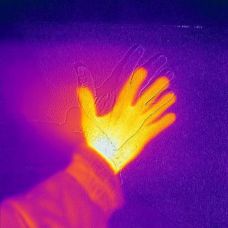 THE ELEMENTS / ŻYWIOŁY