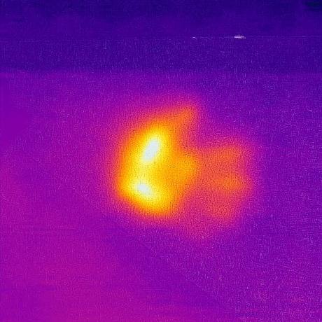 THE ELEMENTS / ŻYWIOŁY