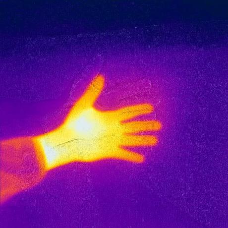 THE ELEMENTS / ŻYWIOŁY