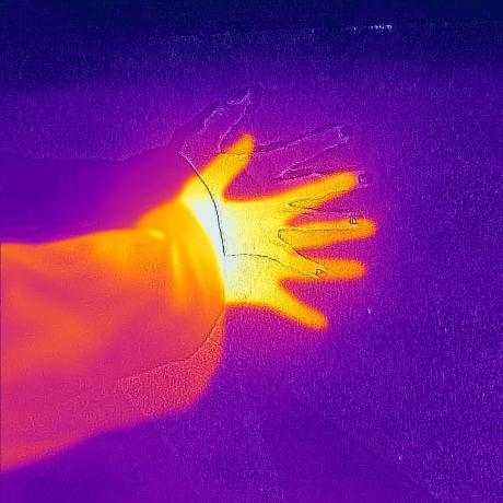 THE ELEMENTS / ŻYWIOŁY