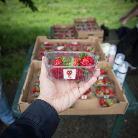 2 czerwca Sztafeta Wolności